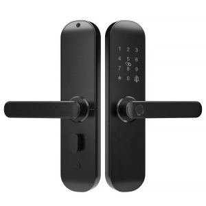 Yala inteligenta acces hotelier PNI SafeHome PTY500BR WiFi