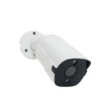 Camere cu IP